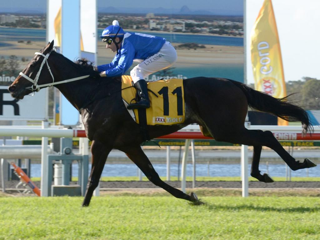 1. Sunshine Coast Guineas (Group 3, Sunshine Coast) May 16 2015 1.8 lengths (1600m).