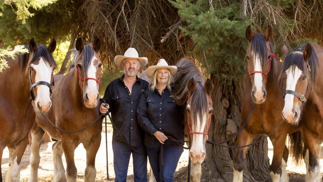 NEWS: Moora Draught Horse Muster Preview Emma Iddison and David Felmingham with their beautiful Clydesdale horses. PICTURED: Emma Iddison and David Felmingham with their beautiful Clydesdale horses L-R Ben, Luke, William, Roy and Jack. Picture: Zoe Phillips