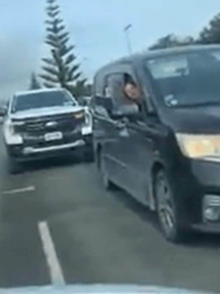 The woman caused a traffic jam. Picture: NZ Herald