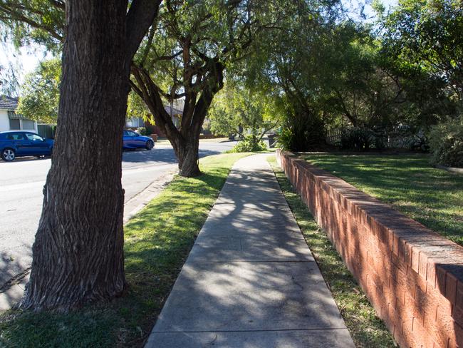 Street trees provide important shade for residents.