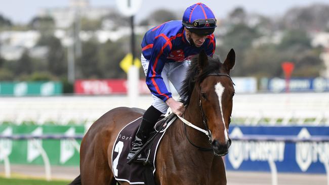 The Mick Price and Michael Kent Jnr-trained Ayrton has been ruled out for the spring. Picture: Getty Images