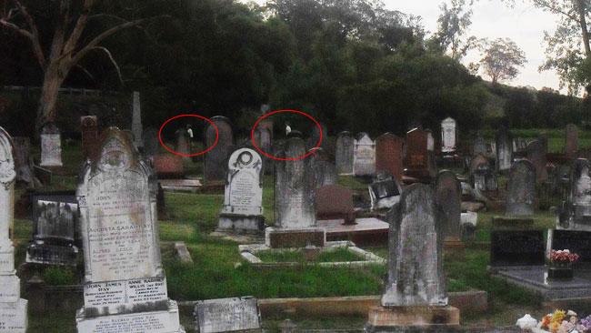 <p>In 2010, Renee English was on a Picton ghost tour when she took this photo. She swears there were no children in St Mark's Cemetery, a 90-minute drive west of Sydney, when she took this picture.&nbsp;</p><p>Local legend has it that the two "children" you can see in this photo are David Shaw and Blanche Moon, who died 60 years apart.</p><p>Blanche was crushed to death in 1886 when a pile of sleepers that she and a number of children were playing on slipped.</p><p>David was the son of a minister who died in 1946 from polio.</p><p>English says she was "a sceptic" before undertaking the ghost tour.</p><p>"When we were standing at the bank looking into the cemetery I was just snapping away and making jokes about the whole thing," the Port Macquarie resident told<em> The Daily Telegraph.</em></p><p>"I know that when I took that photo there was no one else in the cemetery".</p>