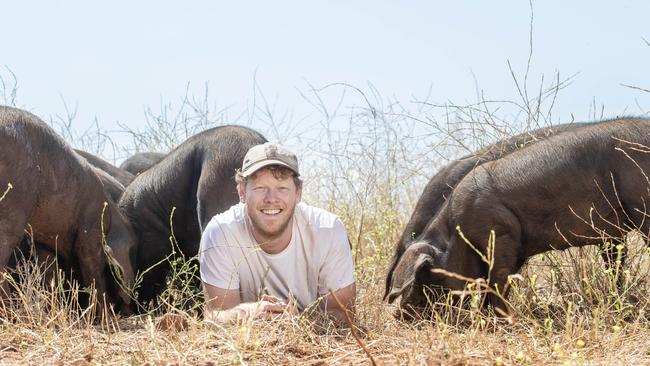 Will Bennett with his pigs at Pig and Earth Farm at Kingston. Picture: Zoe Phillips