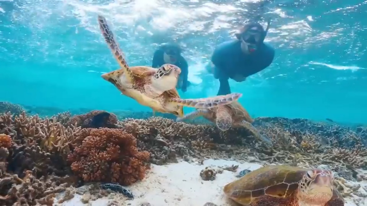 Queensland to launch new tourism plan
