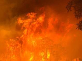 The out-of-control Green Wattle Creek bushfire, burning near Braddocks Rd, Werombi on December 5, 2019. Picture: Picton Fire and Rescue