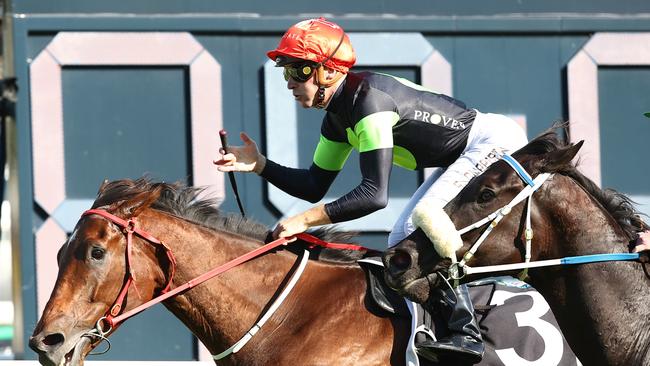 Think About It makes his return in Saturday’s Premiere Stakes. Picture: Jeremy Ng-Getty Images