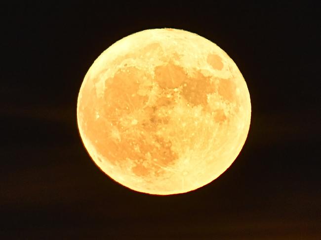 The ‘Supermoon’ rises on November 14, 2016 in Vertou, western France. Picture: AFP PHOTO / LOIC VENANCE