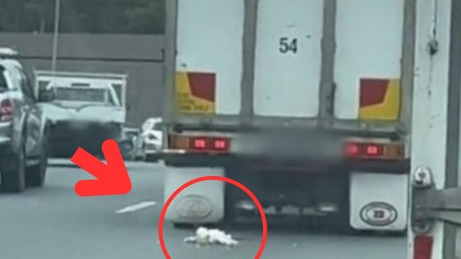 Truck spilling chicken carcasses on the road. Picture: Tyson Major