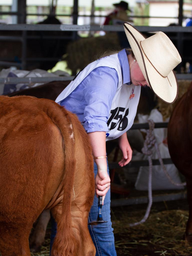 Anne Maquis brushes out some mud off her beast.