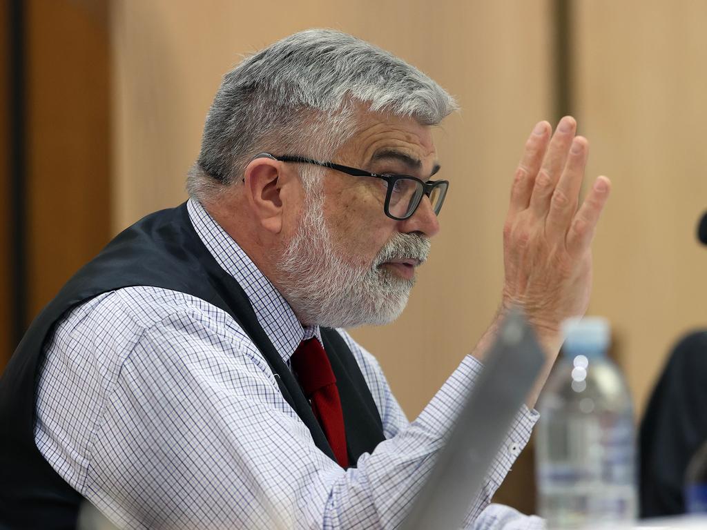 Senator Kim Carr at the Sneate inquiry into Australia’s anti-money laundering regime. Picture: NCA NewsWire / Gary Ramage