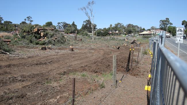 Almost 300 trees have been axed on the popular reserve, which is also home to a popular full scale BMX track. Picture: Dean Martin