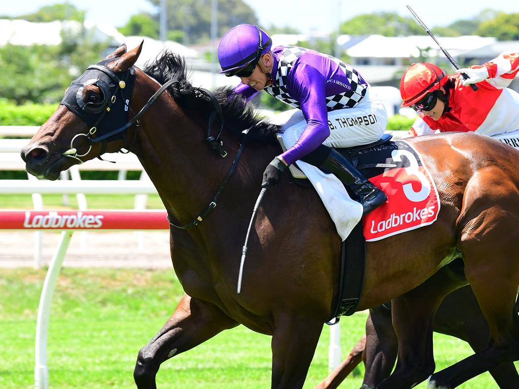 Ex-Ladbrokes chief named new Racing Queensland boss