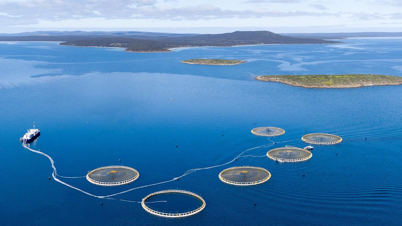 Clean Seas Seafood's Kingfish operations in South Australia. Picture: Supplied