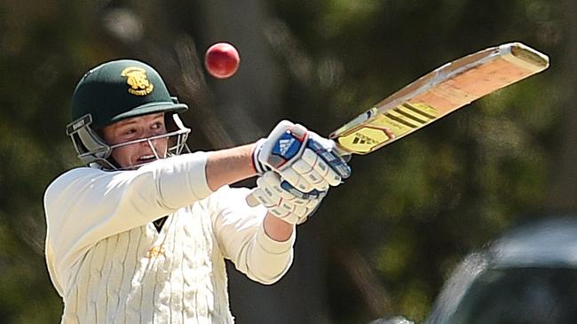 Premier Cricket: Greenvale Kangaroos v Northcote. Blayde Baker for Northcote.