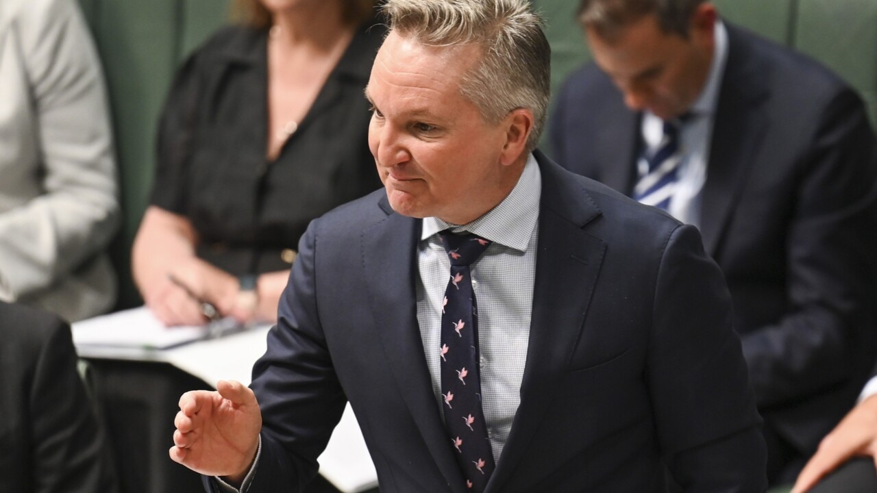 ‘Those opposite failed’: Chris Bowen slams Opposition for ‘doing nothing’ on gas shortages