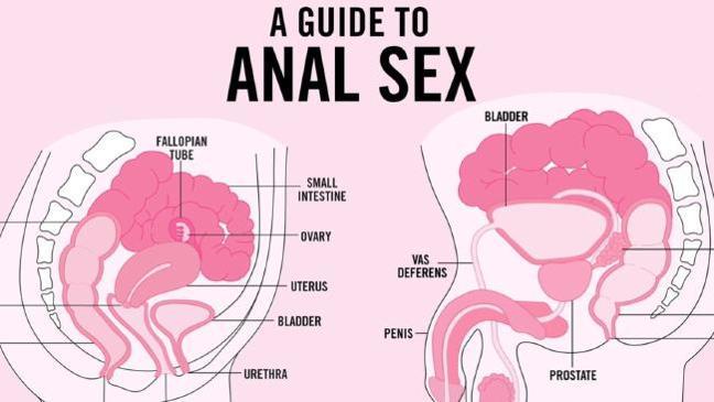 Teen Vogue publishes controversial guide to anal sex | The Weekly Times