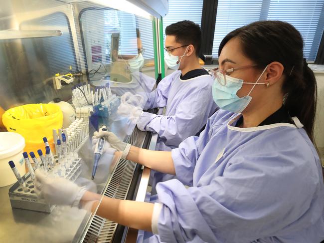 Acting senior scientist Shannen Fentiman and scientist d'Artagnan Barnard processing Covid tests at the height of the pandemic. Picture: Picture Glenn Hampson