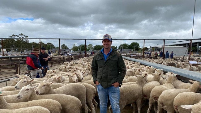 Vendor Lachie James with ewes, which fetched a national record-breaking price, at Naracoorte, South Australia. Picture: Supplied