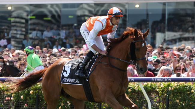 Vow And Declare, ridden by Billy Egan, on the way to the barriers for the 2023 Melbourne Cup. Picture: George Sal/Racing Photos via Getty Images