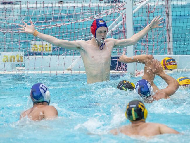 Flynn O'Neill in the Queensland Premier League Water Polo match between Barracudas and Gold Coast at Fortitude Valley Pool, Sunday, October 25, 2020 - Picture: Richard Walker