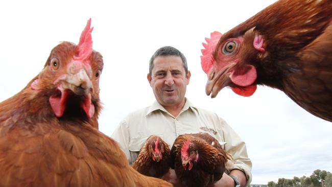 Genuine free-range ... John Rohde, of Rohde’s Free Range Eggs, says the ACCC guidelines are a step in the right direction.