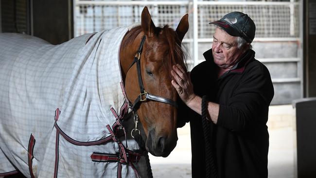 Caloundra racing trainer Paul Jenkins with his stables leading mare Renouf. Picture: Patrick Woods.