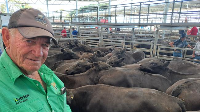 Local Hamilton farmer and agent Kevin Lane, Amaroo at Grassdale, was the only vendor to crack 500c/kg for heavy steers above 400kg at Hamilton. The 23 calves weighed 406kg and sold for 501c, making them one of a handful of sales to push above $2000 per head at $2034. Picture: Jenny Kelly