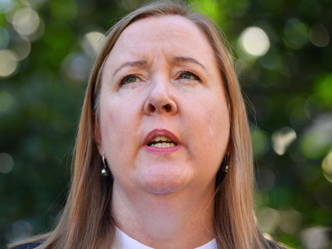 SYDNEY, AUSTRALIA - NewsWire Photos MAY, 13, 2021: NSW Shadow Minister for Primary Industries Jenny Aitchison speaks to the media at Parliament House in Sydney. Picture: NCA NewsWire/Joel Carrett