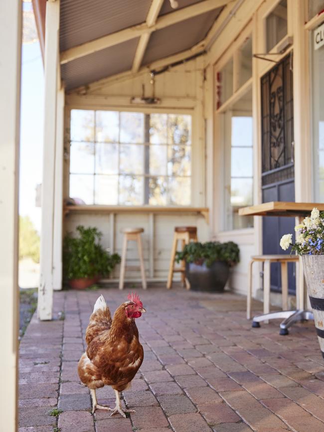 Some Cafe in the village of Collector, NSW. PIcture: Destination NSW