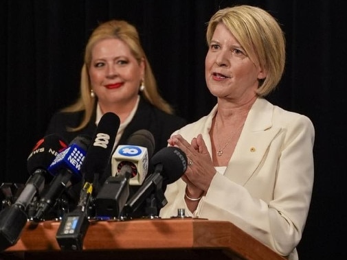 Natasha Stott Despoja AO will lead a South Australian Royal Commission into Domestic, Family and Sexual Violence. Picture: State Government