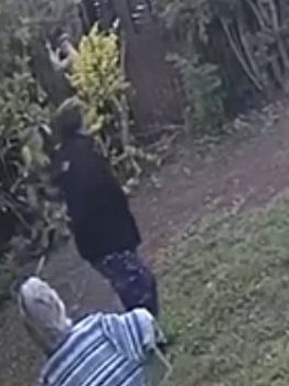 Stoakes (top of image) allegedly about to throw the wooden stake at his elderly neighbour in Woombye. Picture: Contributed