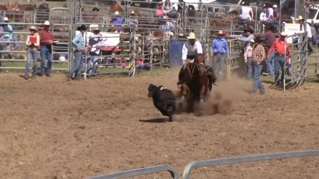 Calf roping in action