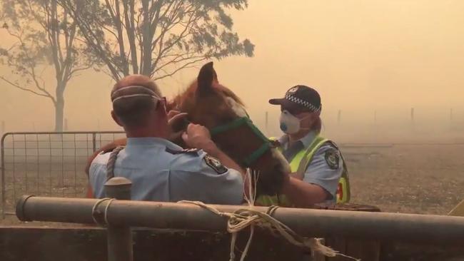 Fire has broken out at Richmondvale near Cessnock in the Hunter Valley. Picture: ABC