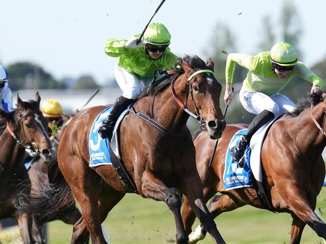 Berkeley Square ridden by Jaylah Kennedy wins the Tile Importer Handicap at Sportsbet Sandown Hillside Racecourse on September 28, 2024 in Springvale, Australia. (Photo by Scott Barbour/Racing Photos via Getty Images)