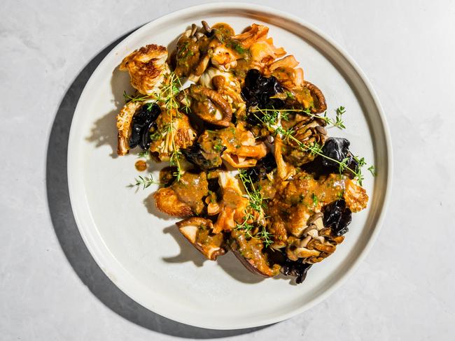 EMBARGO FOR TWAM 06 MAY 2023. FEE MAY APPLY. Mushrooms, jerusalem artichoke - baked cheese recipe by Lennox Hastie. Incidental is mushrooms. TWAM exclusive. Photo: Nikki To