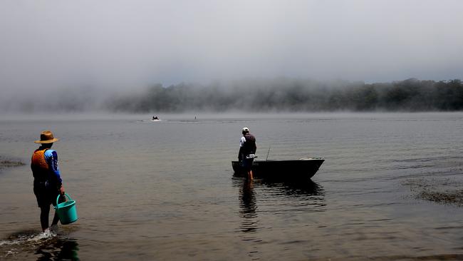 Narrabeen Lagoon where mosquitoes have been found to be carrying the Ross River Virus. Picture: John Grainger