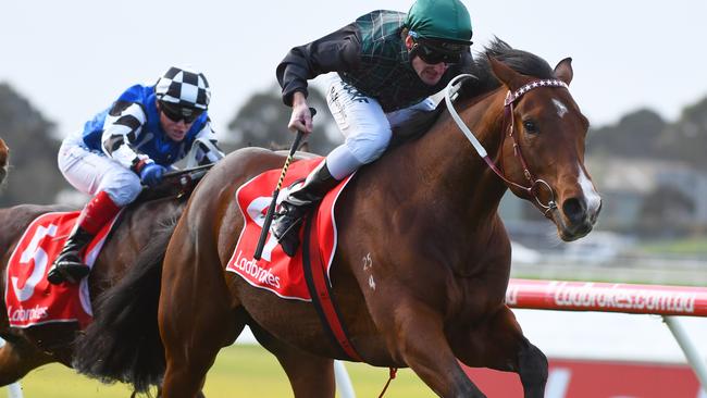 Brad Rawiller pilots Mount Kilcoy to victory at Sandown Hillside on June 13. Picture: Getty Images