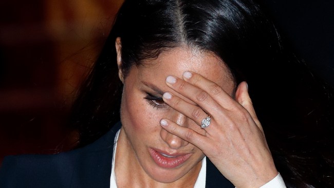 Meghan "had everything" to be an asset to the A “furious” Meghan Markle reportedly wants to confront King Charles over his latest Highgrove launch seemingly overshadowing the Duchess’s own preserves. Picture: Max Mumby/Indigo/Getty Images