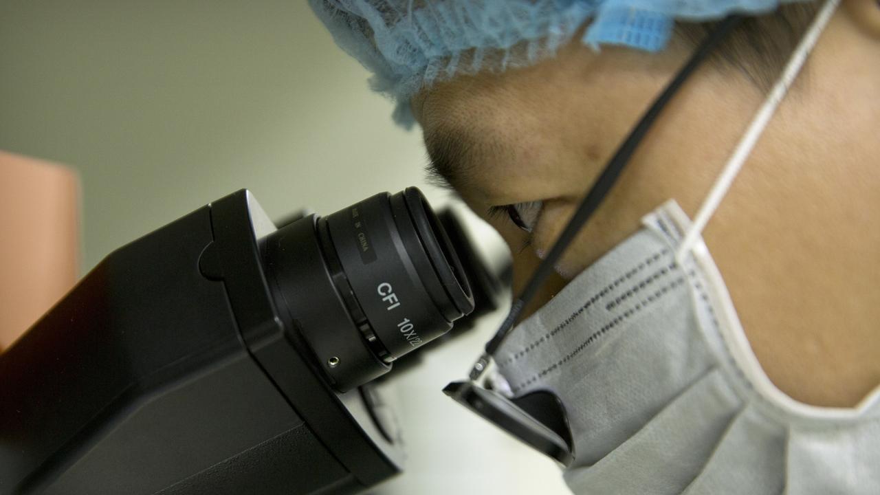 Hundreds of scientists have signed a letter condemning the direct human experimentation. Picture: AP/Mark Schiefelbein