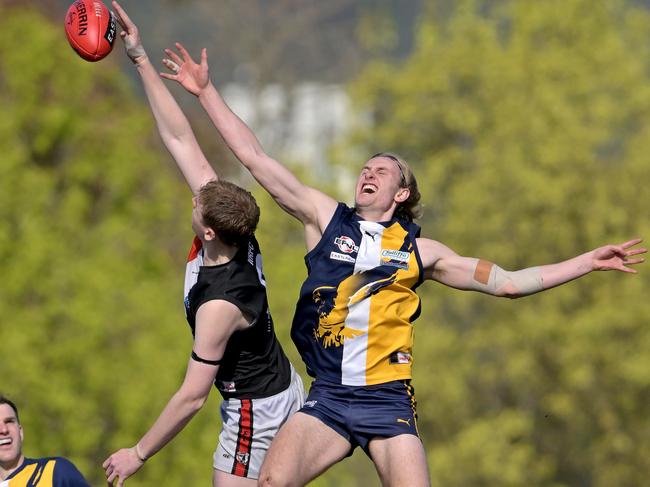 EFNL: North Ringwood’s Thomas Jackson wins the tap over Benjamin Schultze of Beaconsfield. Picture: Andy Brownbill