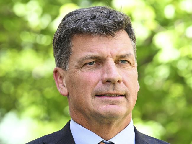 Opposition Treasury spokesman Angus Taylor. Picture: NewsWire/Martin Ollman