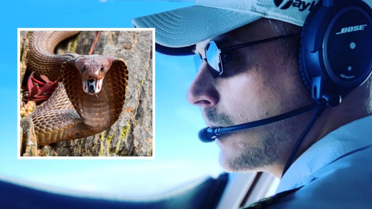 South African Pilot Faces 'Snakes On A Plane' Moment With Cobra In Cockpit