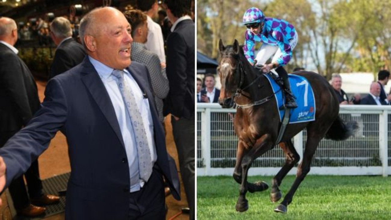 Pride Of Jenni’s owner Tony Ottobre has given his preference for Pride of Jenni’s last Cox Plate lead-up run. Pictures: Getty Images and Racing Photos