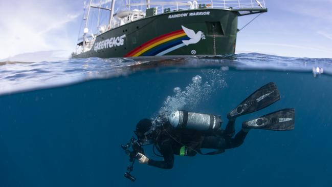 Marine biologist Stefan Andrews has filmed the dramatic impact SA’s algae bloom has had on a popular tourist spot. Picture: Richard Robinson/Greenpeace (2018)
