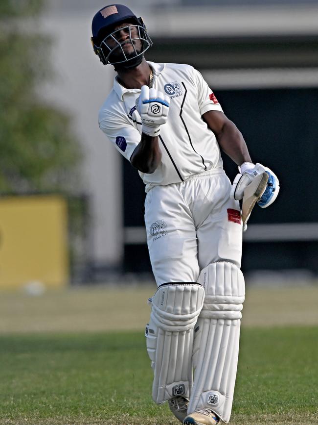 VTCA: PEGS captain Carlos Maynard celebrates scoring 100. Picture: Andy Brownbill