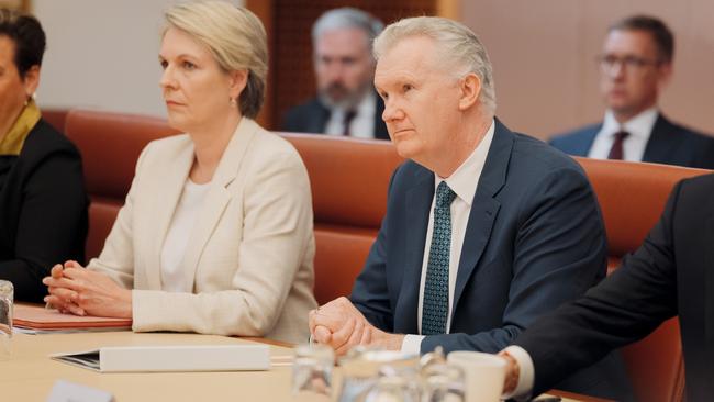 Tanya Plibersek and Tony Burke in Cabinet. Picture: NewsWire/David Beach