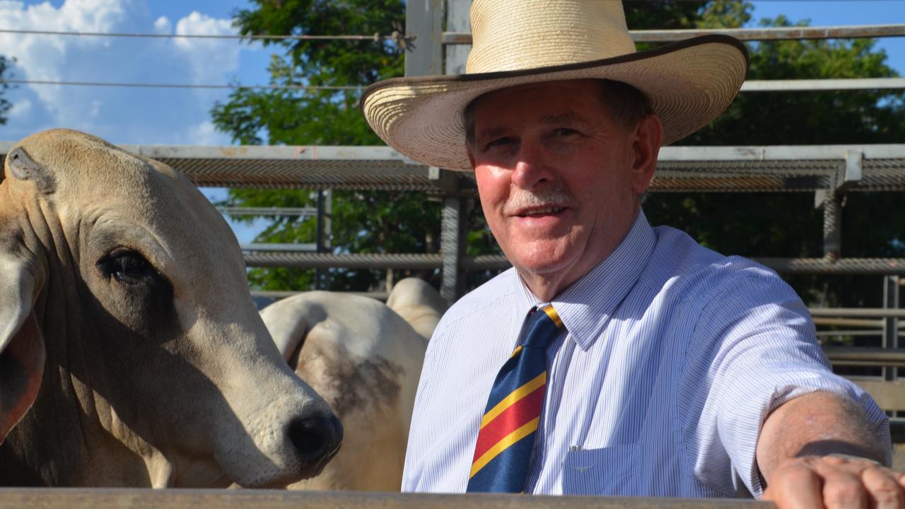 Records smashed at Charters Towers Big Country Brahman sale ...