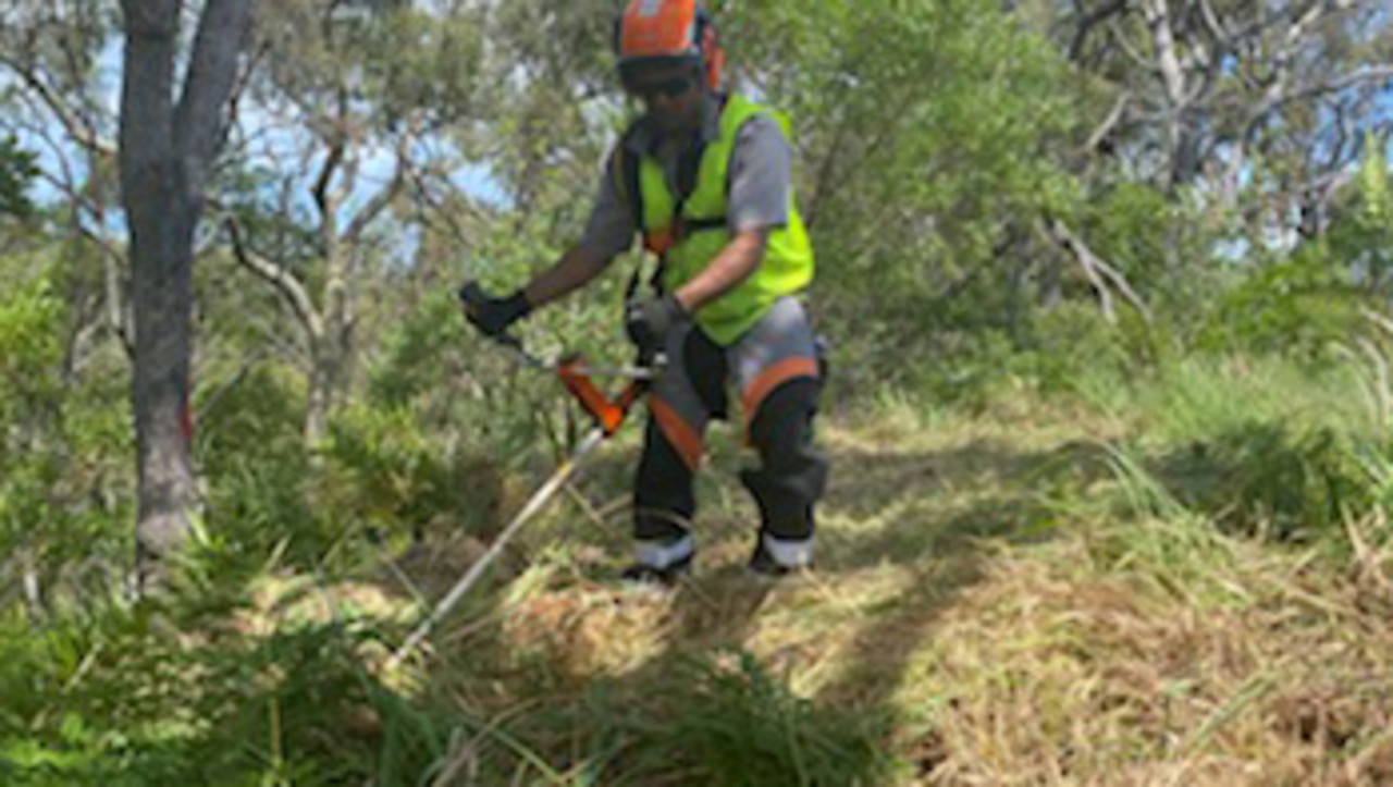 Bush fire prevention on Fraser Island has been the focus of a Fraser Coast Regional funded project, with the Fraser Coast Regional Council spending $22,600 on a Fire Management Trail upgrade at Orchid Beach.