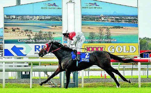 Shane Arnold rides Pride of Poland to an easy win in race four at Corbould Racecourse yesterday. Picture: John Mccutcheon