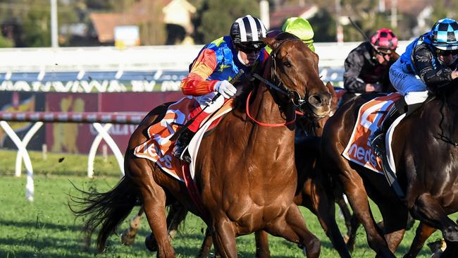 Bella Nipotina is James McDonald’s his best ride of the day on Saturday. Picture: Pat Scala/Getty Images